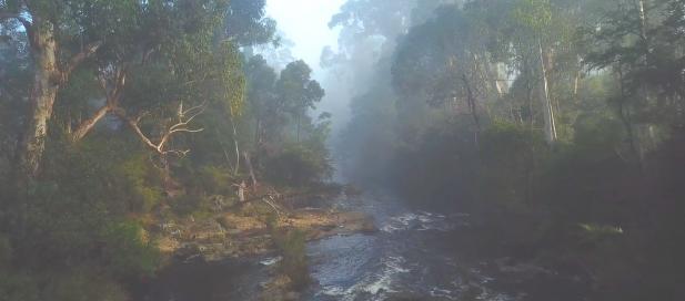 image of the Yarra River